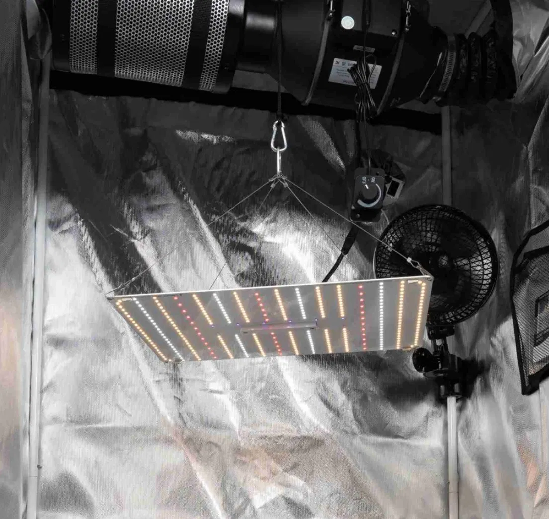 Samsung Large-Scale Professional Mj Flowering&Booster LED Grow Light with Replaceable Dimmable UV Manufacturer