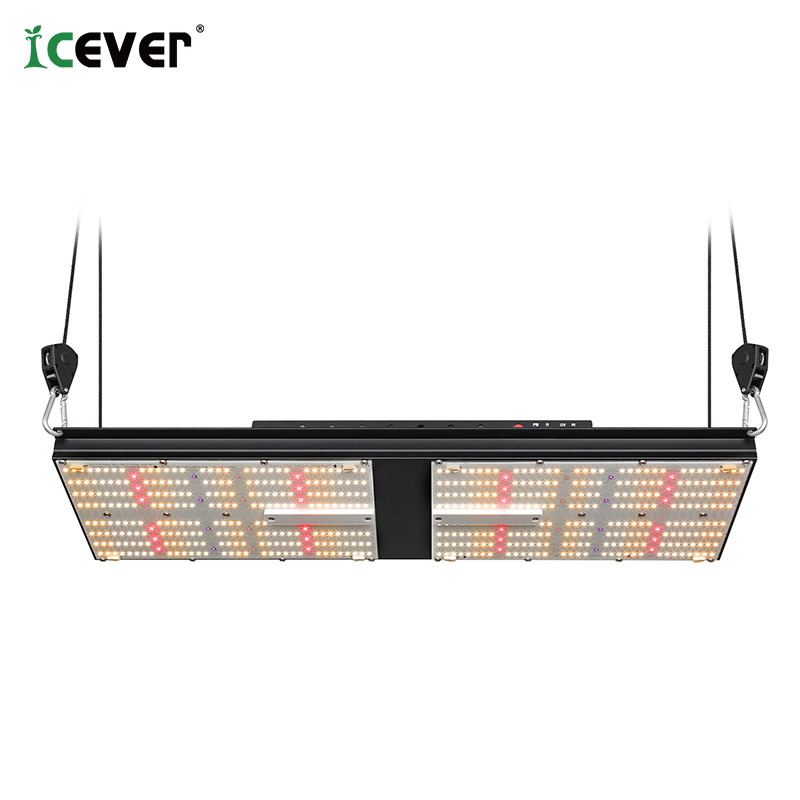 Efficient Samsung DIY Unit Plate Plant Growing Grow Lights Qb Full Spectrum Commercial-Scale Farming LED Grow Lights with IR/UVA/UVB