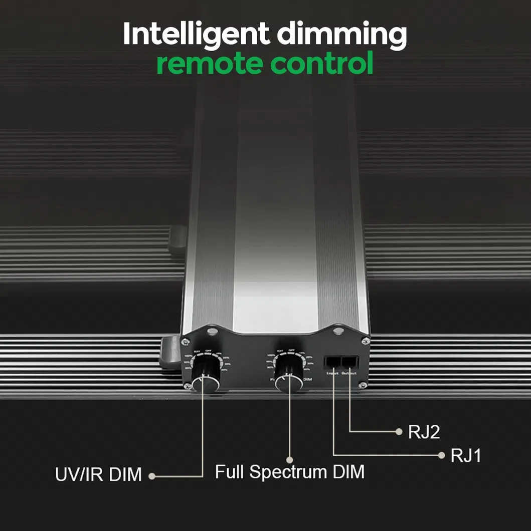 Full Spectrum Detail