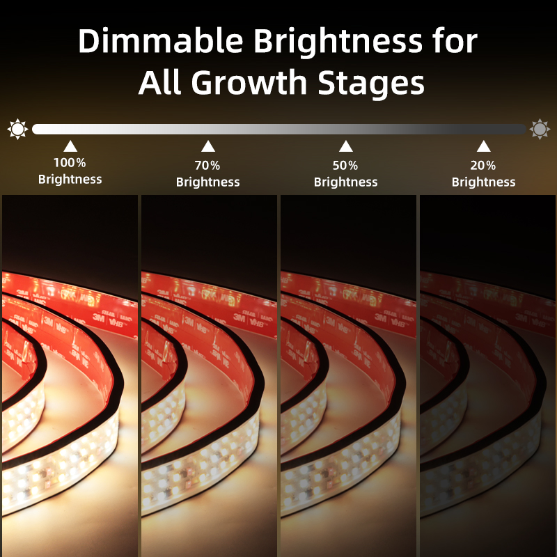 Custom Energy-Efficient Flexible Led Grow Light Strips Full Spectrum 220V 110V Plant Grow Lights Smart Dimmable 252 LEDs/m For Seedlings, Herbs, Succulents