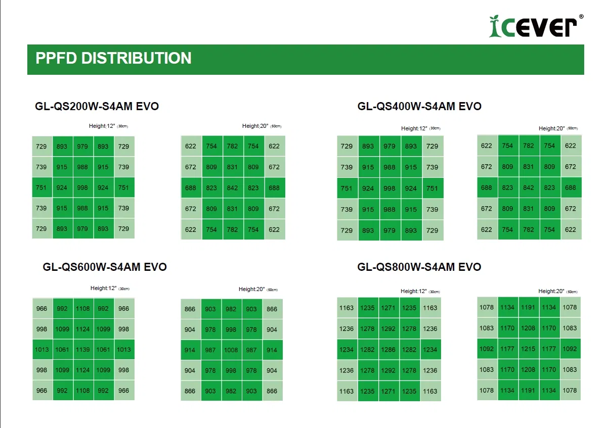 Detailed Spectrum Data