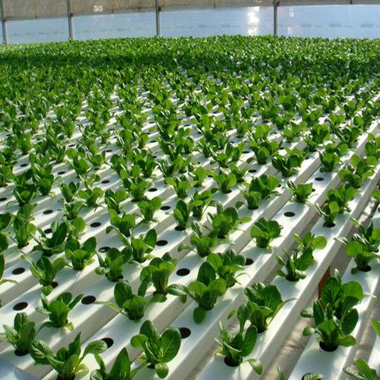 Nft Hydroponic Channel Greenhouse Vertical Farming System Zipgrow with Lights Vertical-Farming-Systems