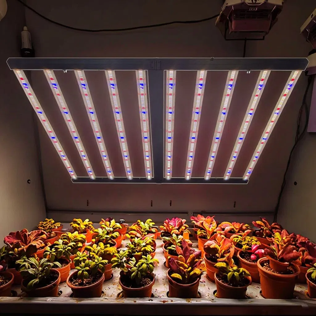 1000W 2800 Umol/S Dimmable Greenhouse 1000 Watt LED Grow Light Full Spectrum