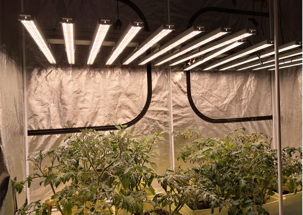 Premium Indoor LED Grow Light Stand for Medicinal Plants