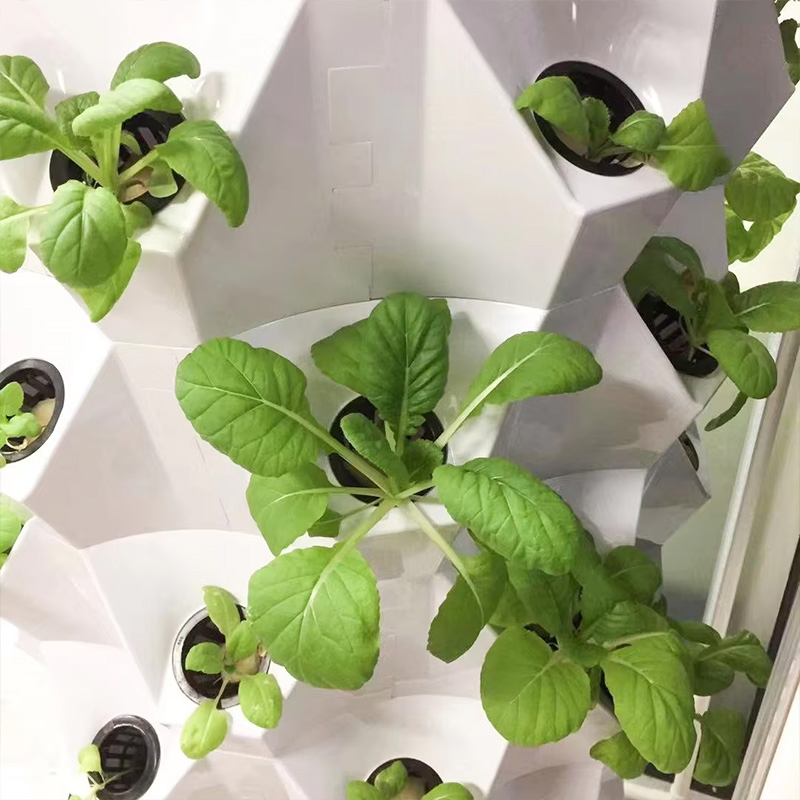 Irrigation &amp; Hydroponics Equipment Farming Vertical Hydroponic Tower Quickly Growing System Aeroponic Garden System with Light