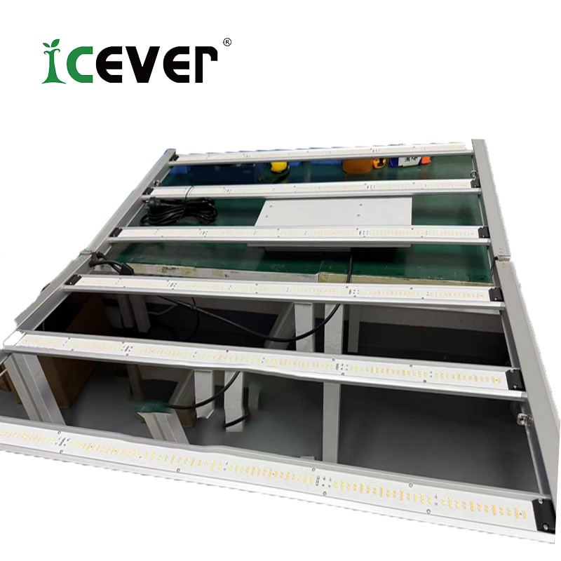 Mmj Full Spectrum LED V3 Grow Light Independent Switch 600W LED Ultraviolet Succulents Grow Light 6500K IR Red with 301h Evo Chips (EMC)