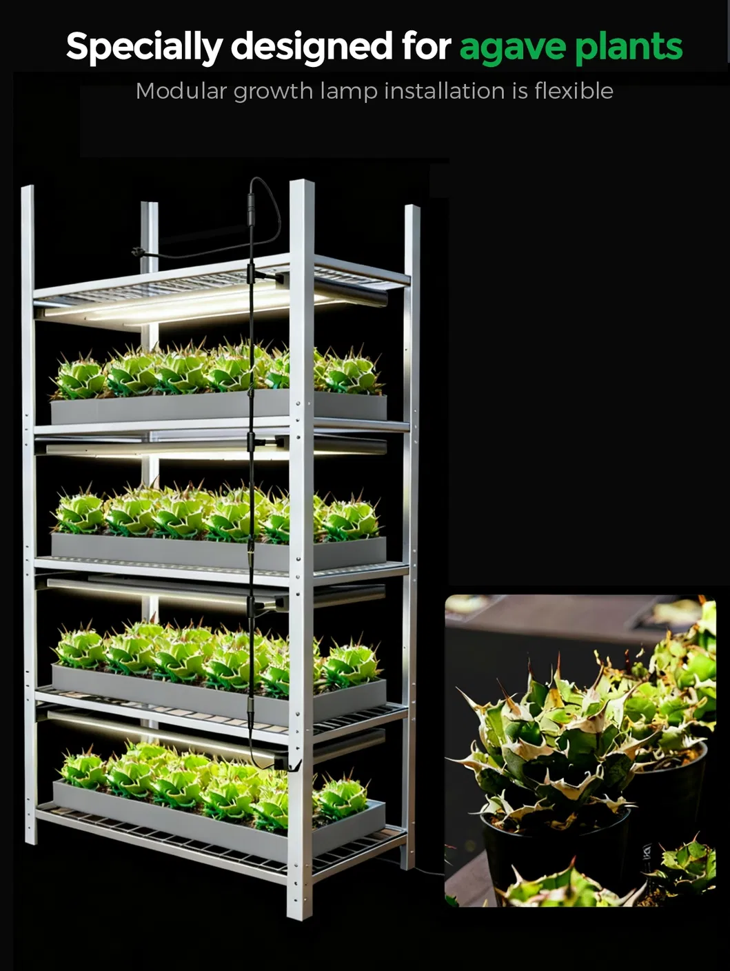 LED Grow Light System 3