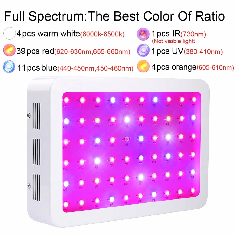 300W 600W 800W Full Spectrum LED Grow Light for Indoor Plants