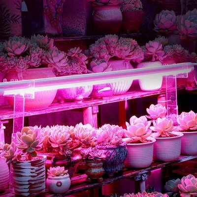 Grow Light LED Strip 1
