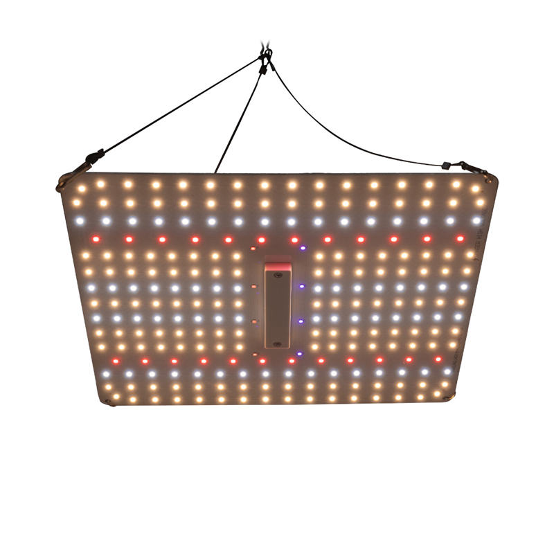 Timer/Foldable/Dimmable Samsung 100W Watt Large-Scale High PPE LED Grow Lights for Hydroponic Growing Manufacturer