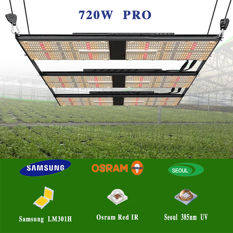 Qb UVB/UV Energy Saving 4by4 Suppliers 600W Indoor Growing Plant Grow Light for Booster IR with Seoul LEDs (CE)