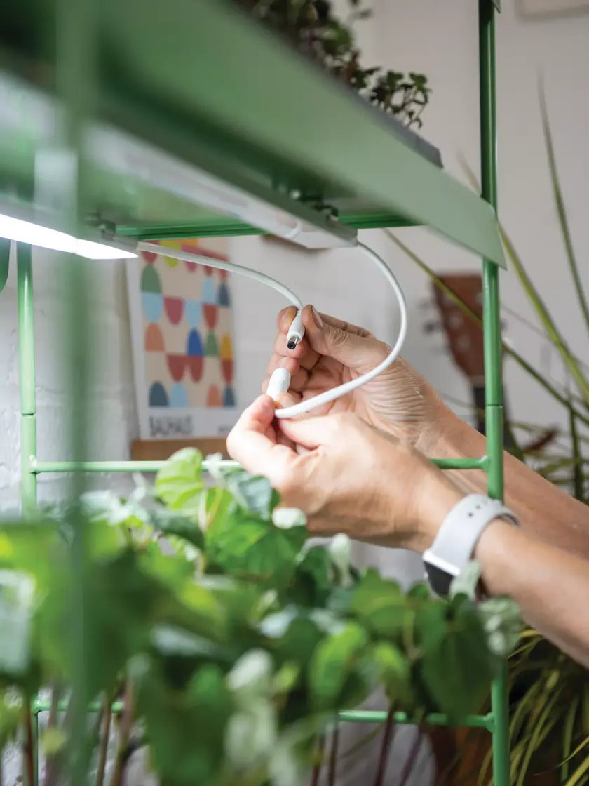 High-Performance Magnetic LED Grow Lights for Indoor Gardens