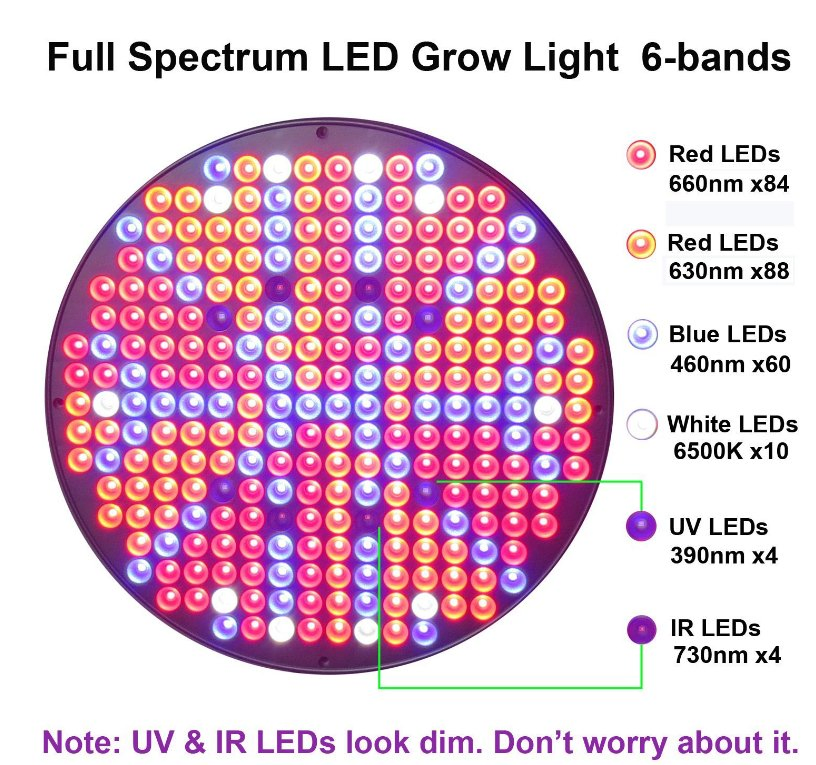 Wholesale Grow Light LED Full Spectrum Indoor Plant 50W Round Farming Green UV IR Spectrum Plant Growth Supplement Grow Lamp