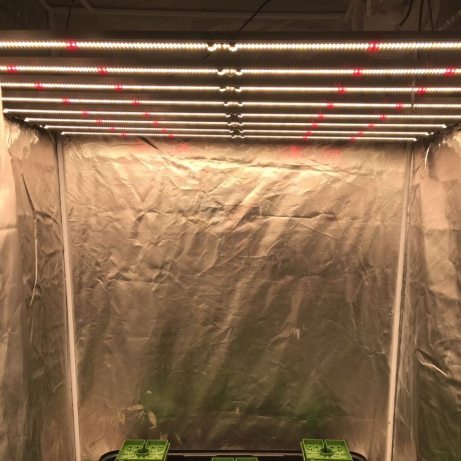 Seedling Growing Weed Growing V3 UVB and IR Red UVB Mariguana Germination Grow Light Seed Starter Kit with Aquarium with 301h Evo (RoHS)