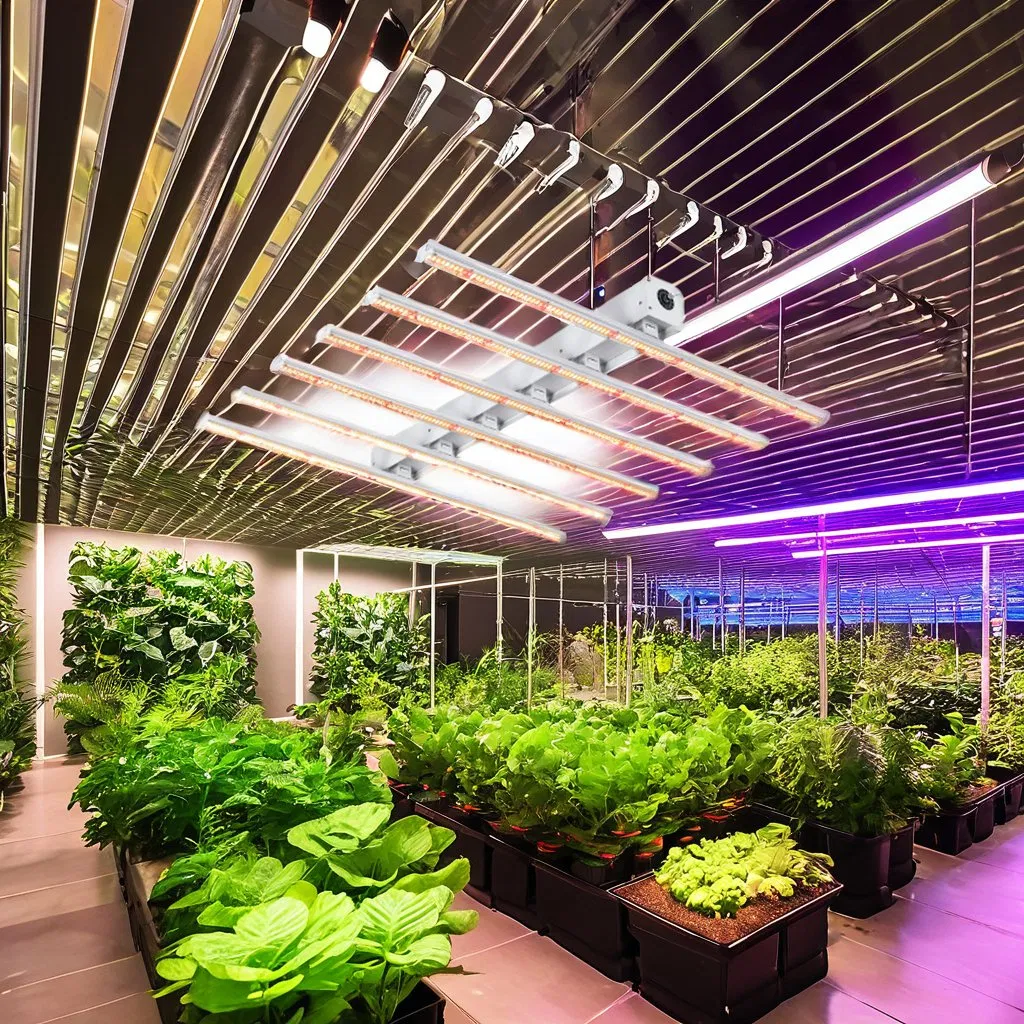 Factory Price Grow Lights Lm301h Grow Tent Hydroponic 240W Dragon Fruit LED Grow Light for Plants