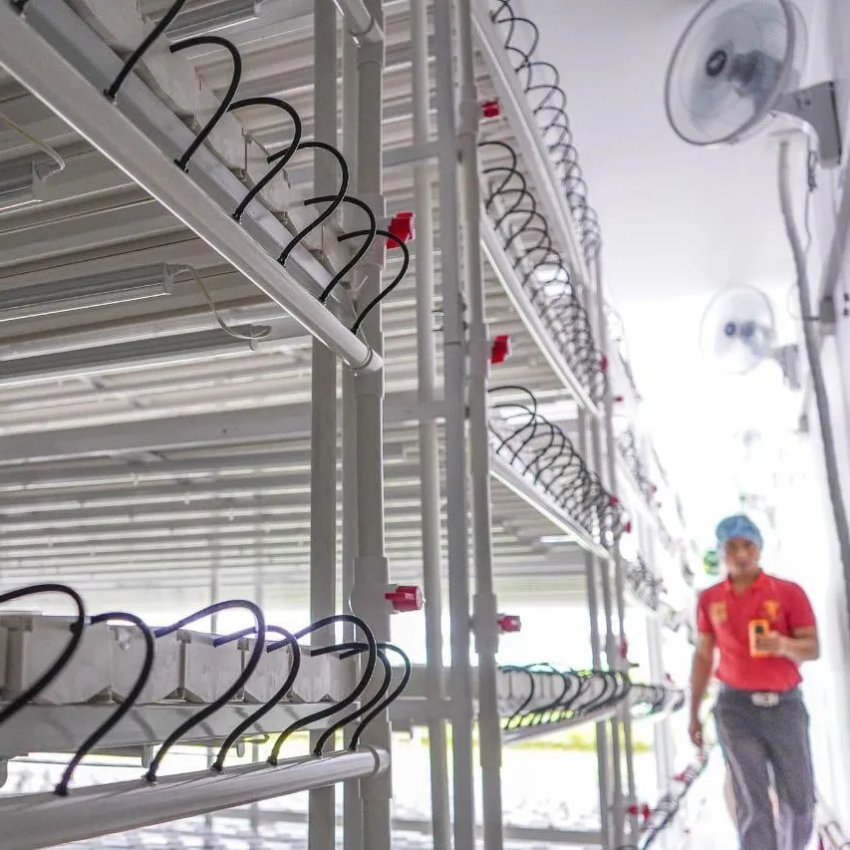 Vertical Hydroponic System 2023 New Design Indoor Plant Vertical Farming LED Grow Light for Sale