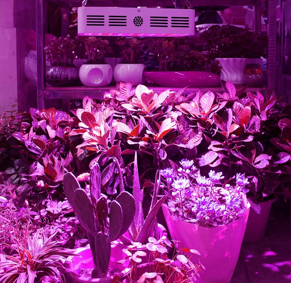 LED Grow Light Installation