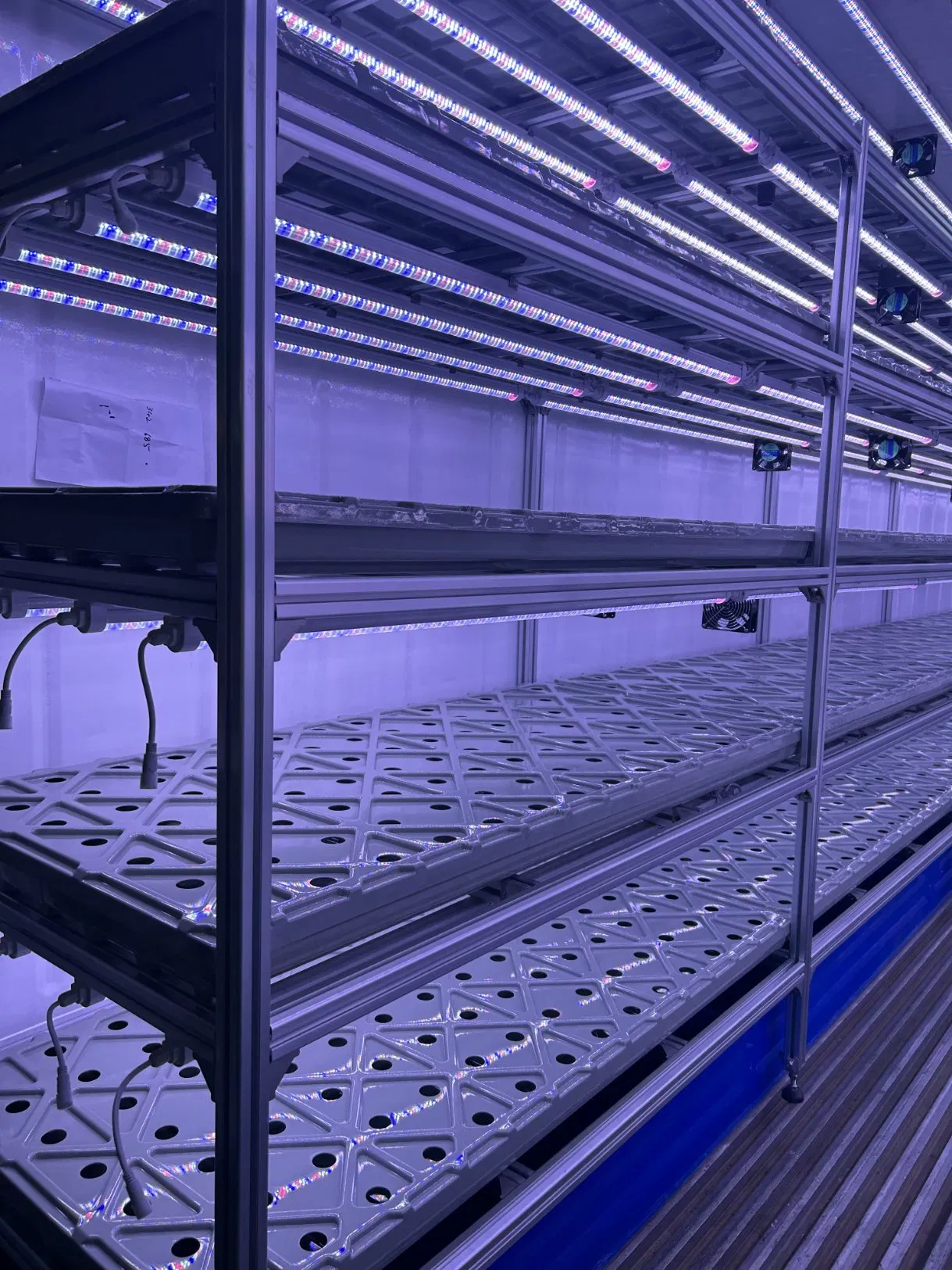 Agg Modern Style 40FT Shipping Container Microgreens Container Weed Vertical Farming Container Farming Nft Hydroponic System