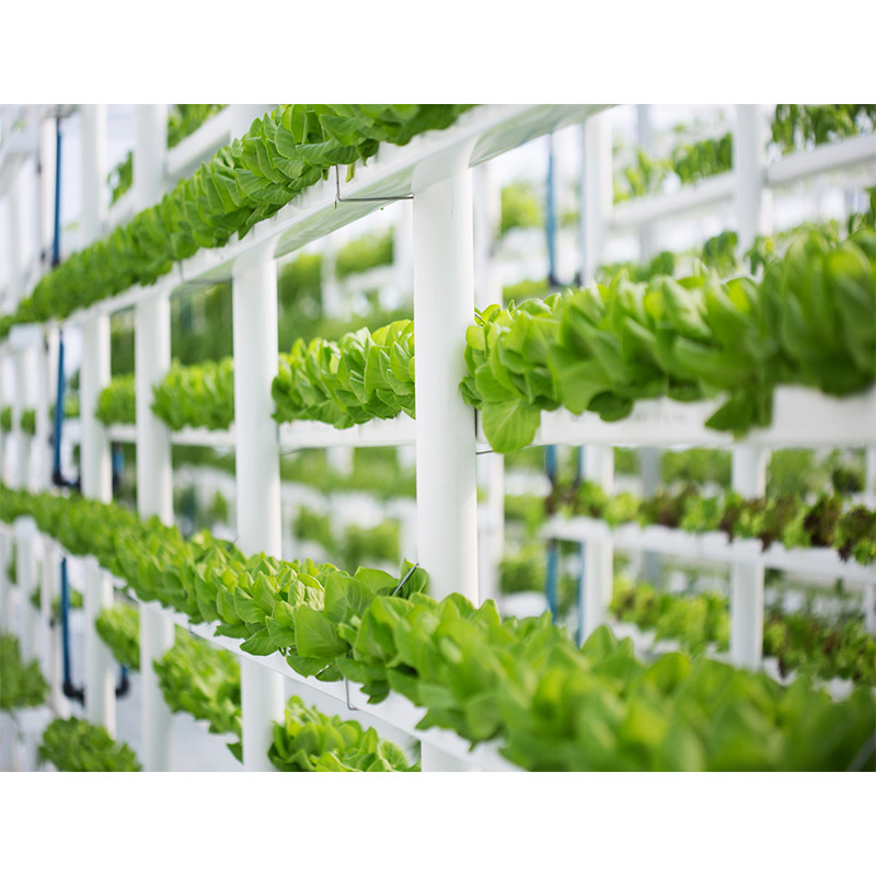 Agg Indoor Home Smart LED Light Plant Garden Greenhouse Nft Hydroponic 5-Layer Automatic Pump Grow Tower Kit Vertical Farming System