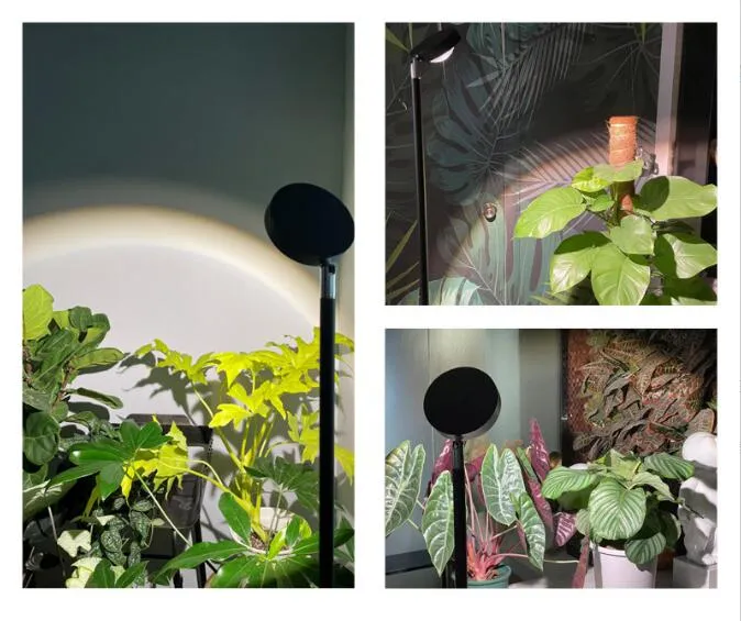 Grow Light Application 1