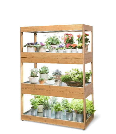 Eco-Friendly Bamboo LED Grow Light for Indoor Succulents