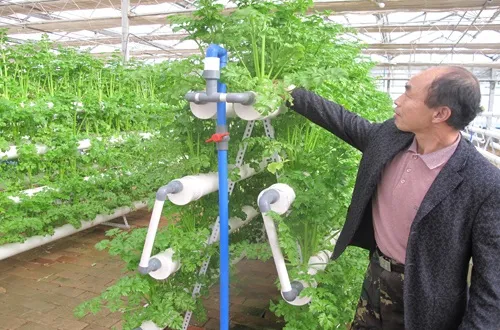 A-Type NFT Hydroponic Channel