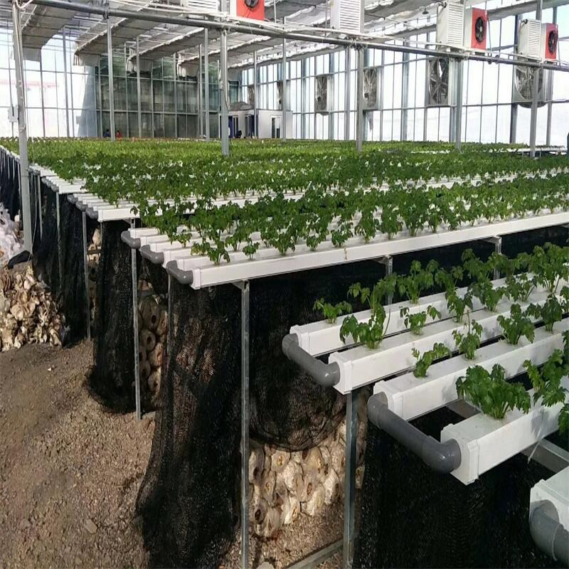 Nft Hydroponic Channel Greenhouse Vertical Farming System Zipgrow with Lights Vertical-Farming-Systems