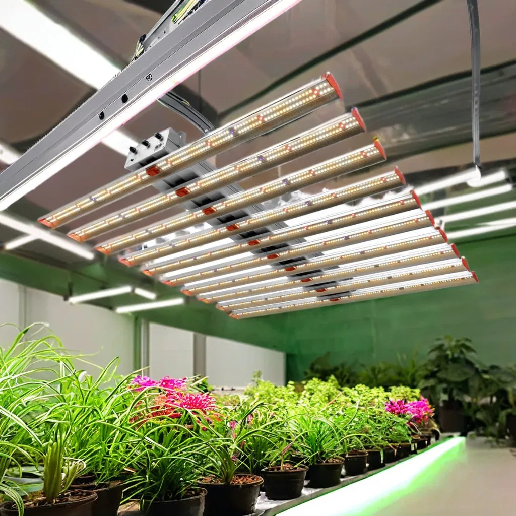 Factory Price Grow Lights Lm301h Grow Tent Hydroponic 240W Dragon Fruit LED Grow Light for Plants