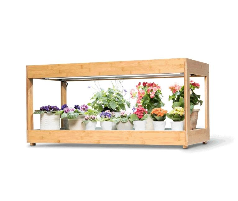 Premium Ultra-Bright LED Grow Light for Herb Cultivation