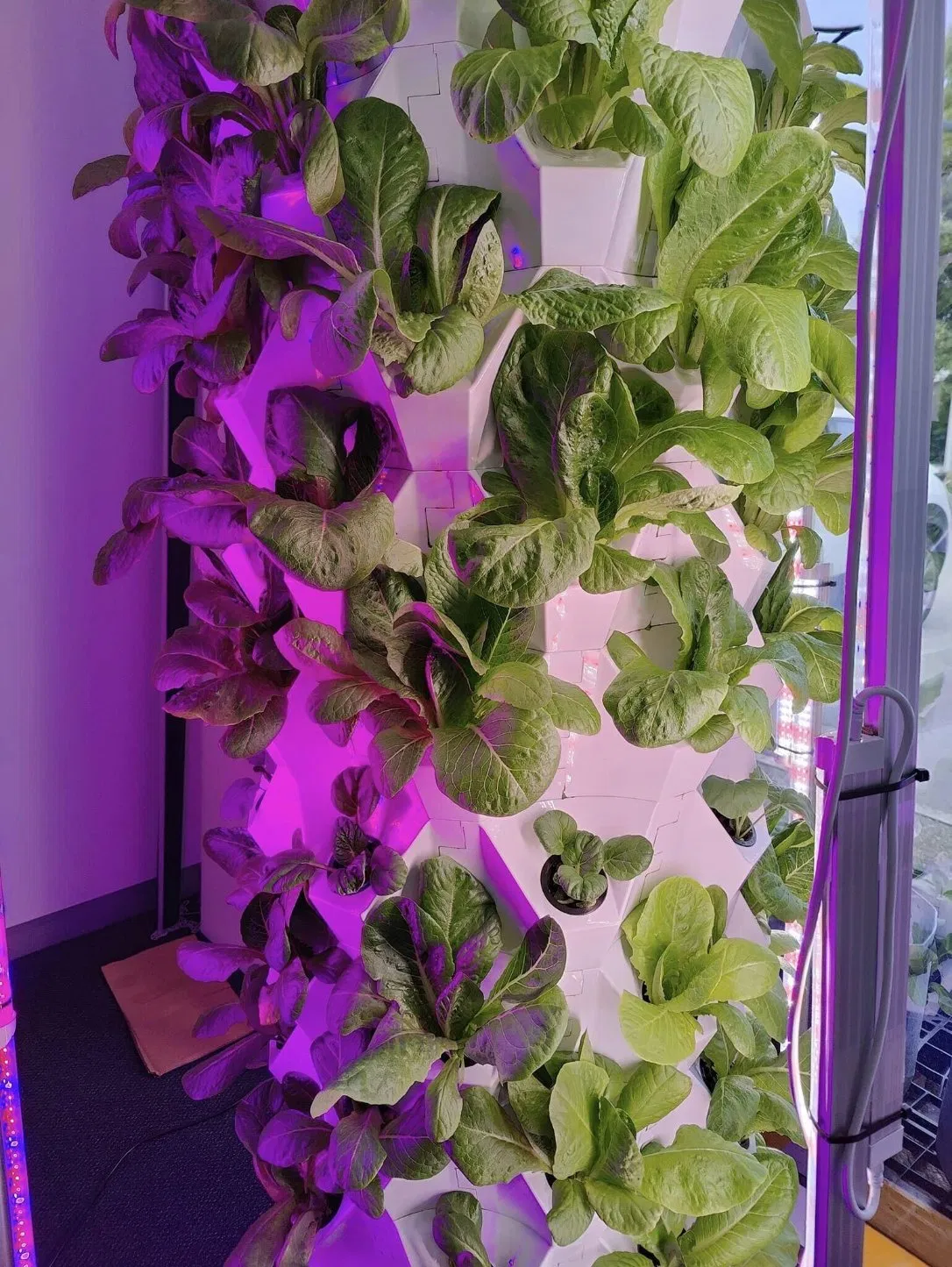 Hydroponics Vertical Farming Rotating Aeroponic Tower Garden Systems with Grow Light