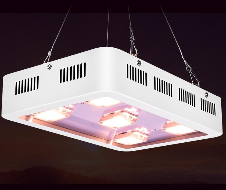 Powerful COB LED Plant Flower Veg Grow Lamp Full Spectrum 900W Indoor Decorative Plant Growing Lighting LED Grow Light for Plant