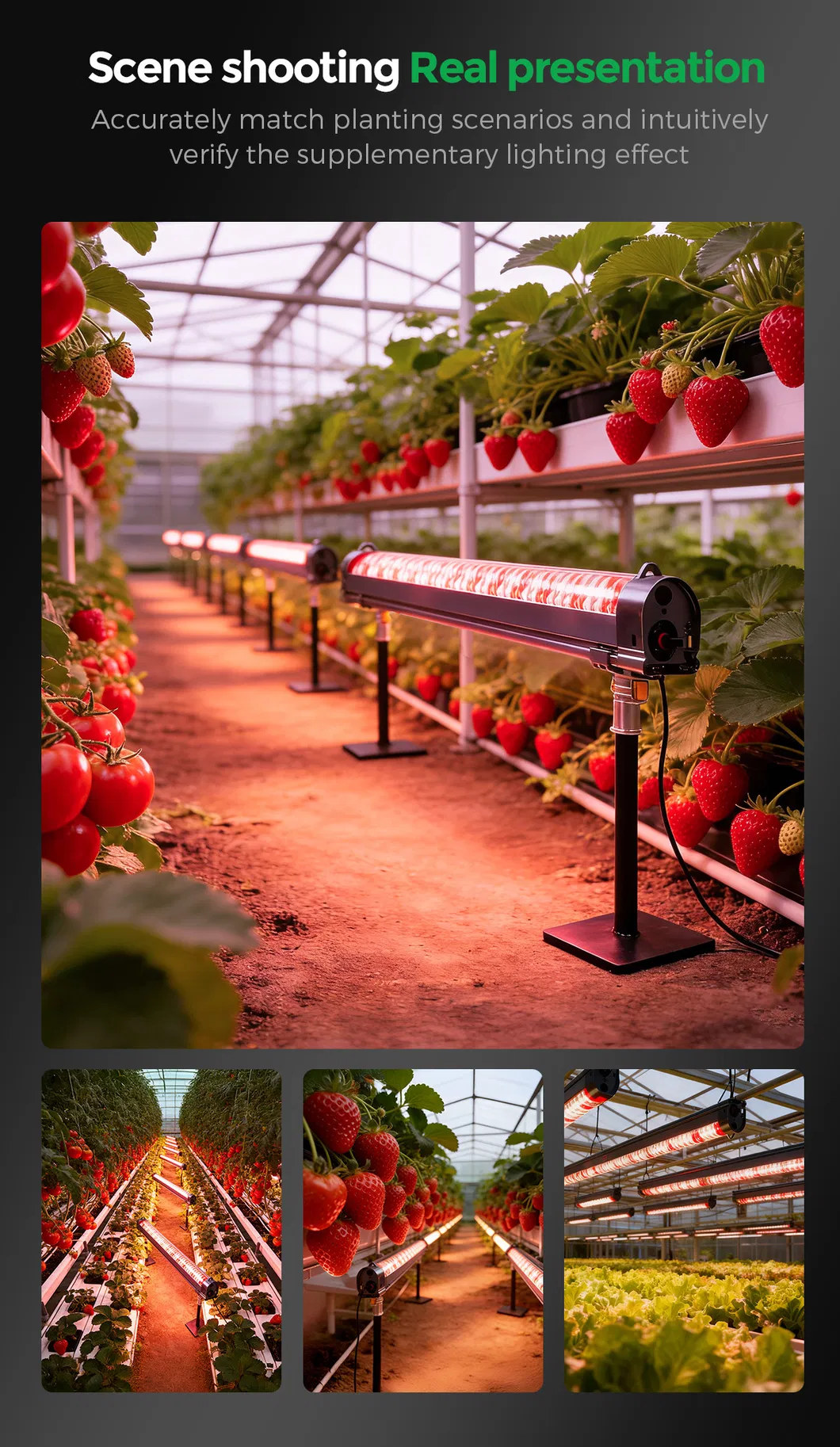 Greenhouse Lighting