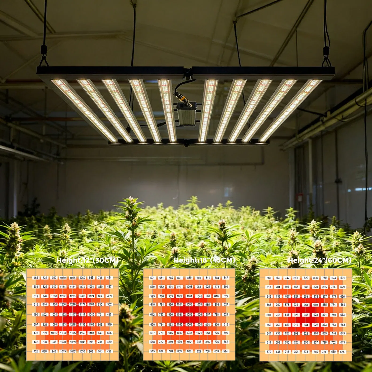 Shenzhen 1000W Samsung Lm301h LED Plant Grow Light Full Spectrum with IR UV, Rj Daisy Chain, Indoor Vertical Farming