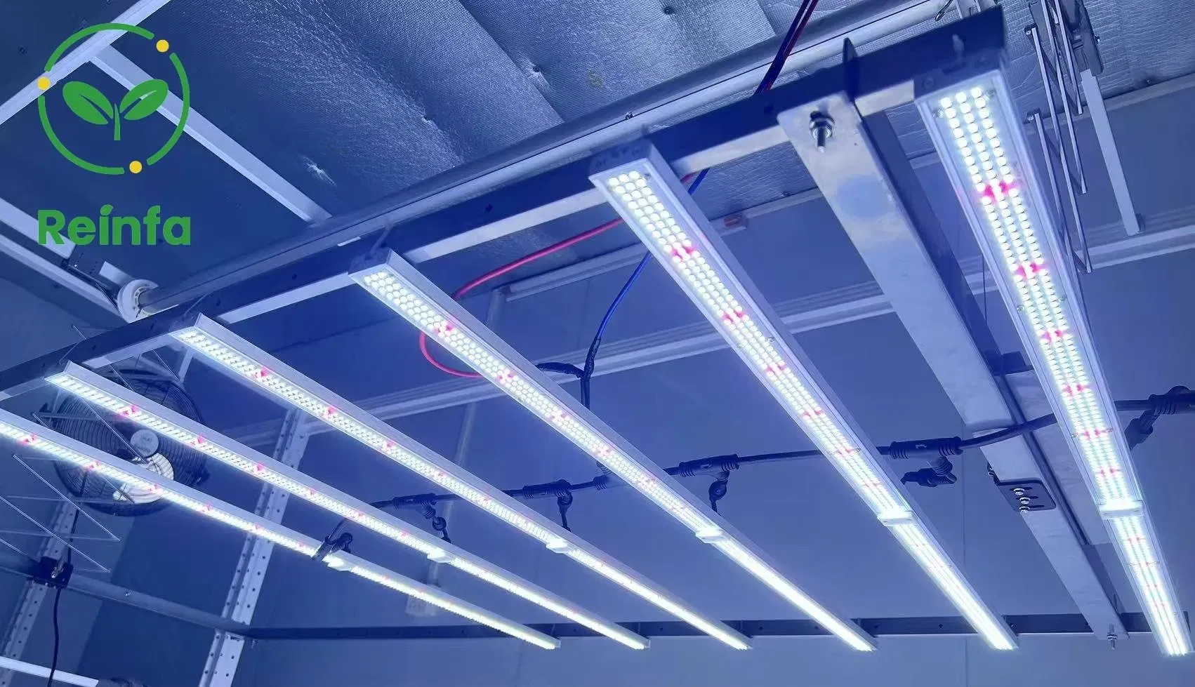 Product Main Display