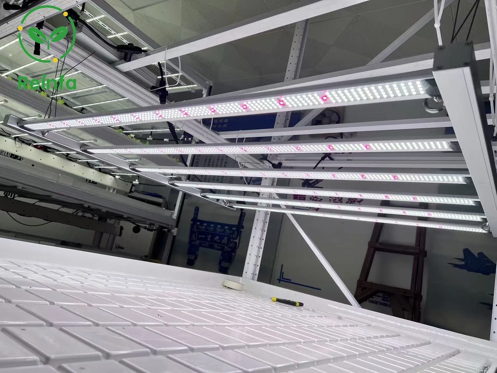 650W Full Spectrum LED Grow Light Energy Saving for Indoor Plants