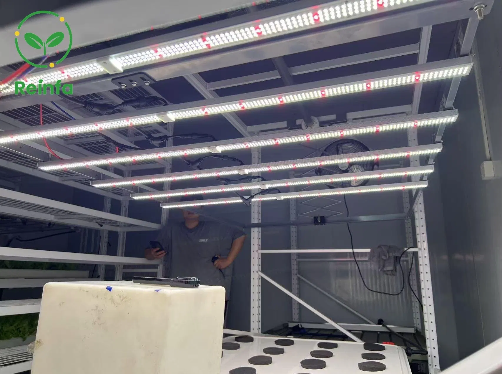 Advanced 650W LED Grow Light with UV &amp; IR for Greenhouse Cultivation