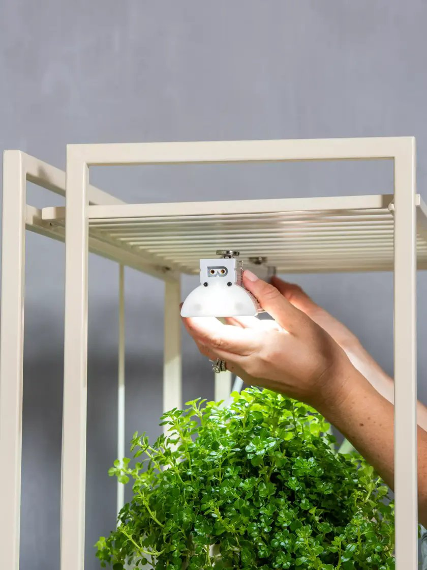 Superior Quality Minimalist LED Grow Light System for Top-Tier Indoor Growing