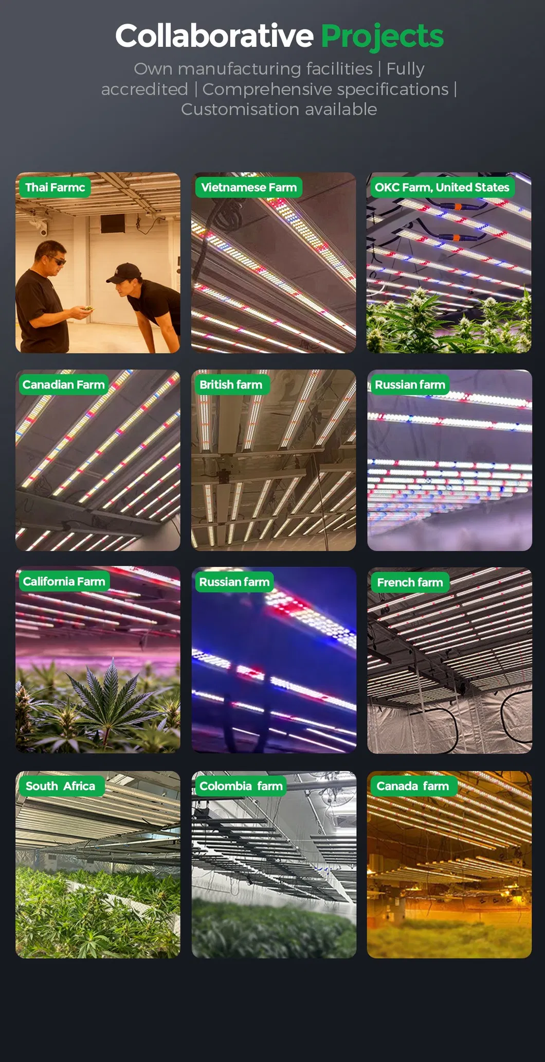 LED Grow Light Feature 3