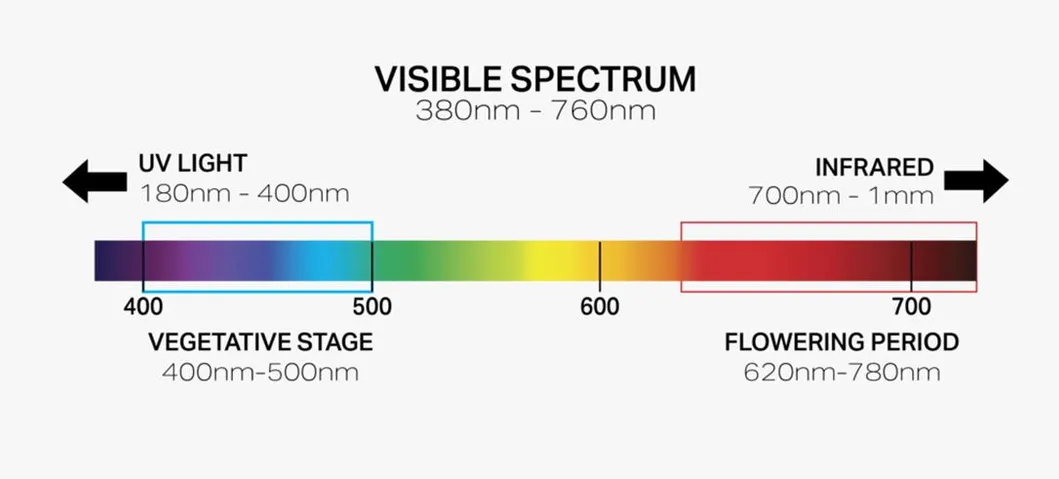 Spectrum Chart