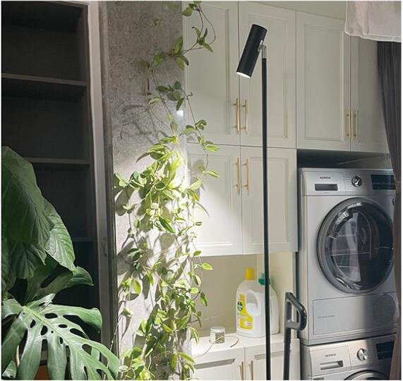 Full Spectrum COB Plant Grow Light, Floor-to-Ceiling Plant Fill Light, Automatic Timer, Dimmable Brightness for Indoor, 20W 2m Height