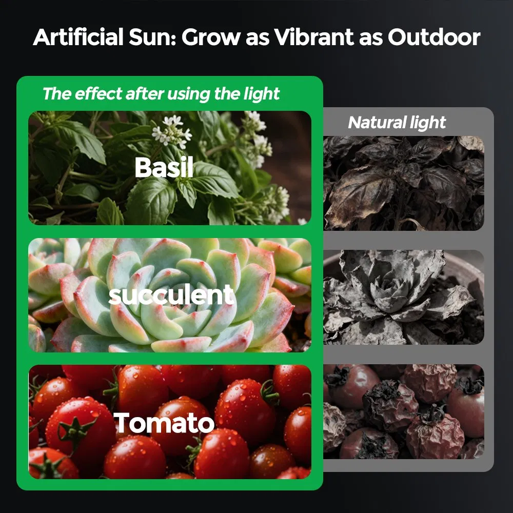 T8 18W Full Spectrum/Customizable Spectrum LED Plant Grow Light for Succulent Coloring