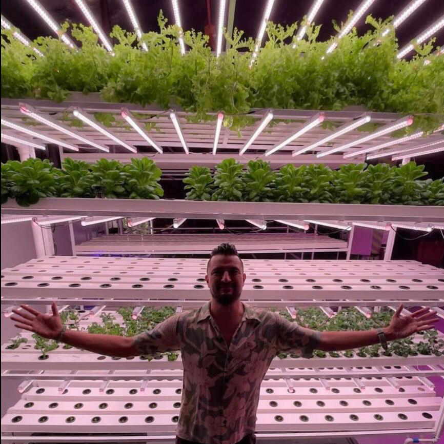 Vertical Hydroponic System 2023 New Design Indoor Plant Vertical Farming LED Grow Light for Sale