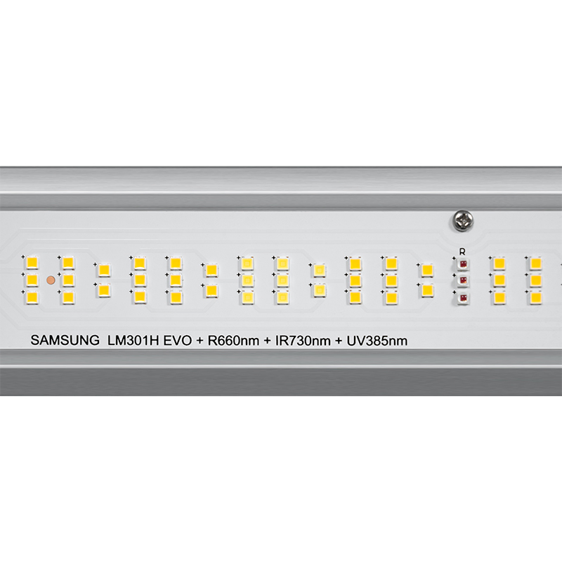 Seedling Growing Weed Growing V3 UVB and IR Red UVB Mariguana Germination Grow Light Seed Starter Kit with Aquarium with 301h Evo (RoHS)