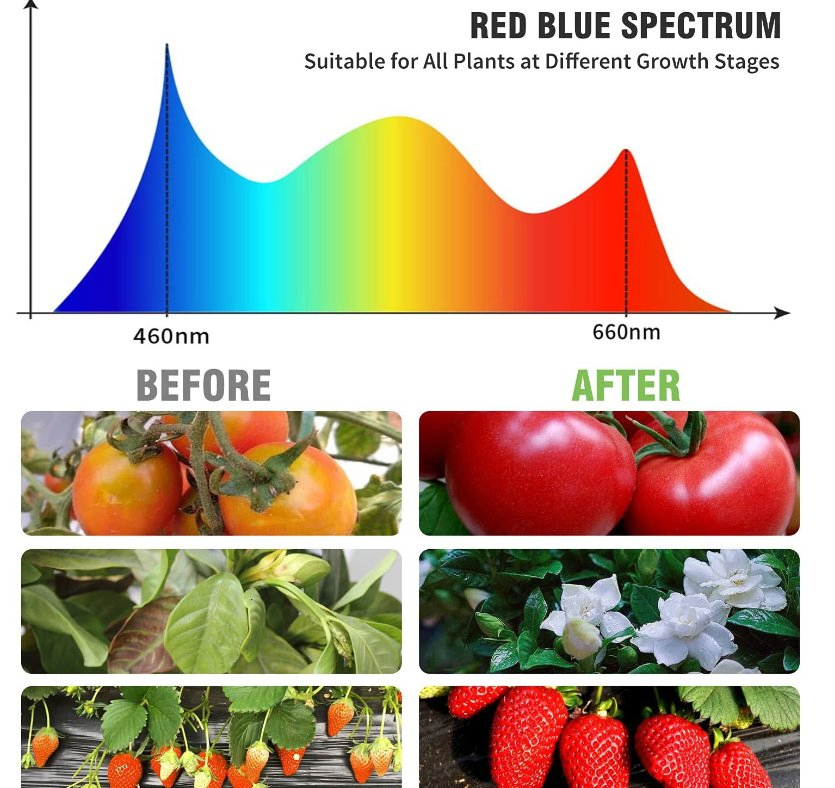 Brillinant-Dragon Amazon Hot Sale LED Grow Light Dimmable Full Spectrum Height Adjustable Grow Light