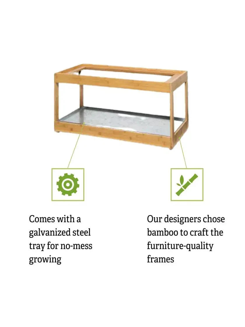 Herb Cultivation Detail 3