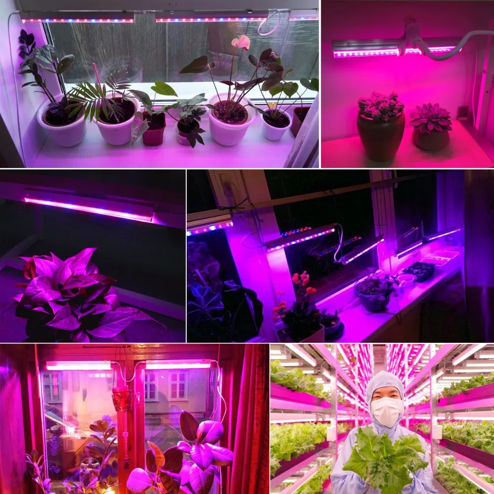 Plant Grow Lamp 12