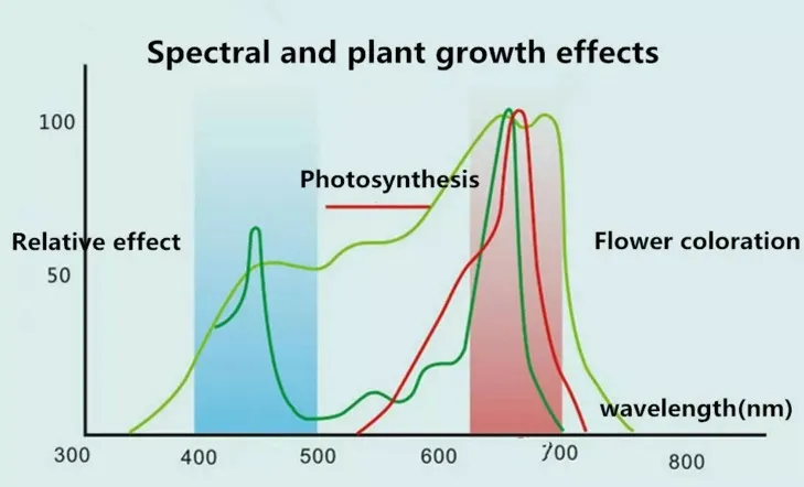 Plant Grow Light Spectrum