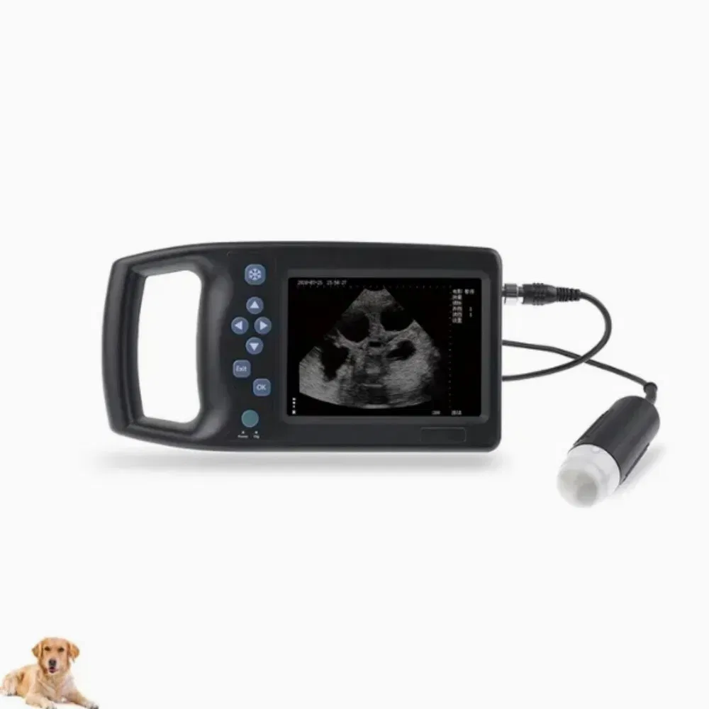 Mt Medical Portable Handheld Professional Animals Palm Full-Digital Veterinary Ultrasound Machine System Price