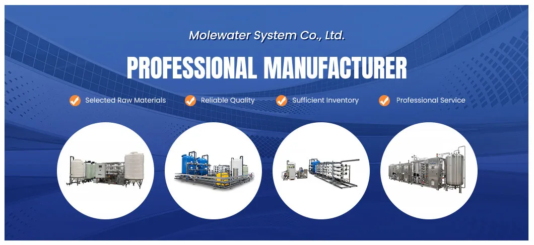 Industrial Ultrapure Water System