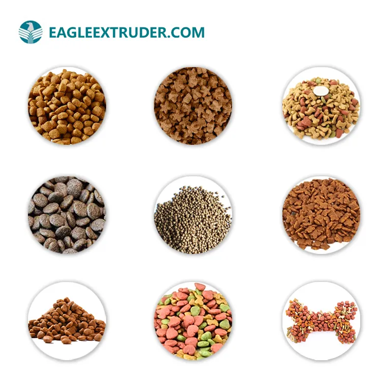 Pet Food Extruder System